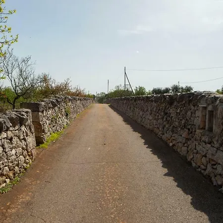 Gospodarstwo wiejskie Trullo Pinto Martina Franca